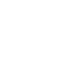 アルターエゴのクラスアイコン