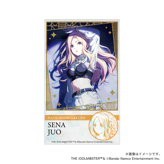 【学園アイドルマスター】初星学園プロデュースセット・十王星南・トレーニング服ver.